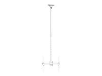 HI-ND Ceiling Mount Universal - Monteringssett (takmontering, teleskopstang) - for LCD-skjerm - hvit, RAL 9003 - skjermstørrelse: 32"-55" C-CM01-01