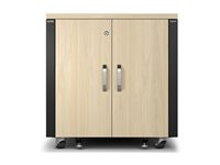 APC NetShelter - Rack (vertikal) - lydisolert - AC 100-230 V - lønn - 12U - 19" - TAA-samsvar AR4012A