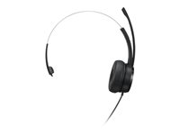 Lenovo 100 - Hodesett - on-ear - kablet - USB-A - svart 4XD1B61617