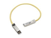 Cisco - Koblingskabel - SFP (hann) til SFP (hann) - 50 cm - for Catalyst 3560, 3560E, 3560G, 3560V2, 3560X CAB-SFP-50CM=